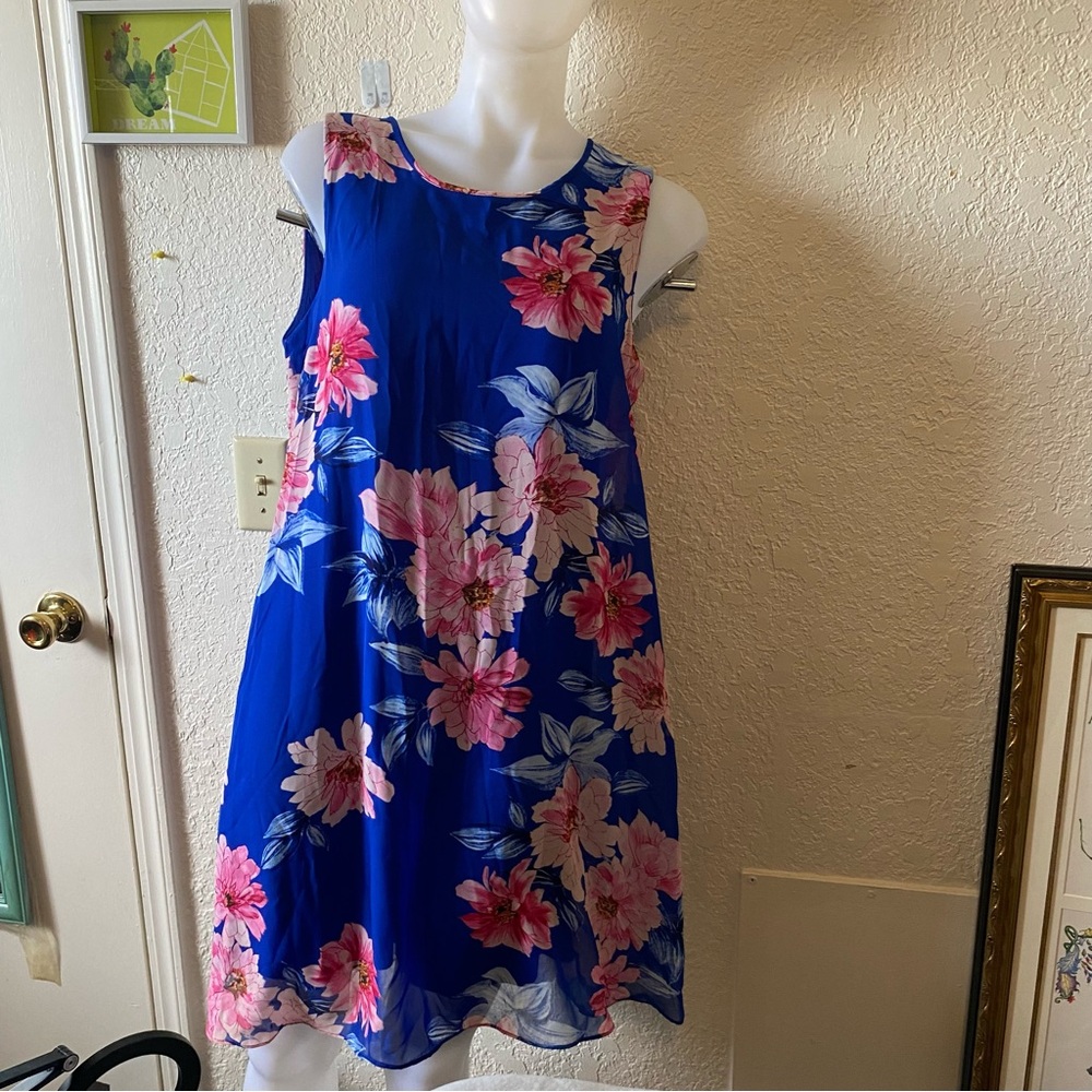 JH‎ Dress Blue Pink Floral Sleeveless Aline Shift Size 12